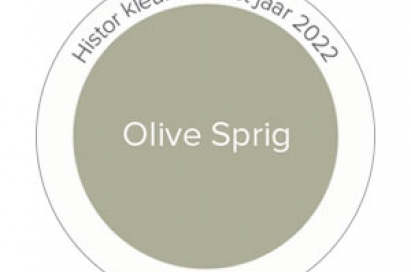 Olive Sprig: kleur van het jaar 2022