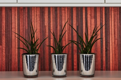 Eyecatcher: Behang in houtstructuur